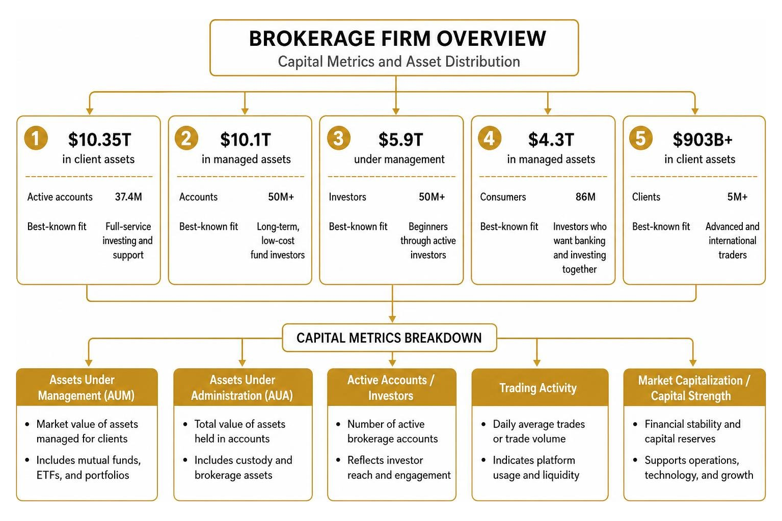 Overview of brokerage firm capital metrics and asset distribution