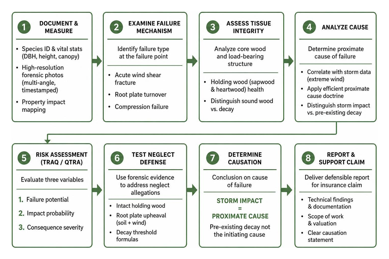 Forensic analysis process determining tree failure causation Forensic analysis process determining tree failure causation