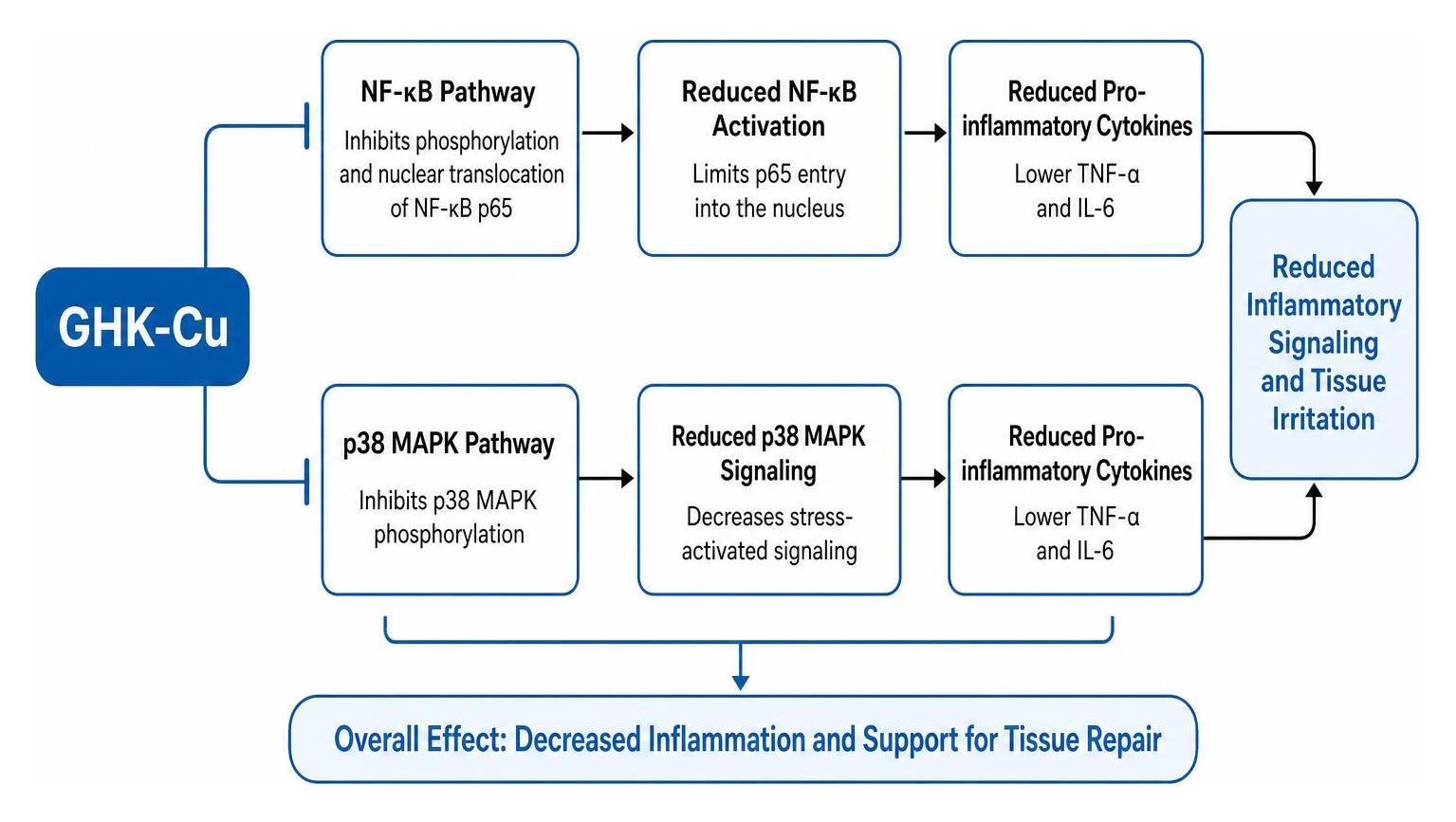 Molecular inflammatory suppression pathway from GHK-Cu to NF-kB and cytokine reduction