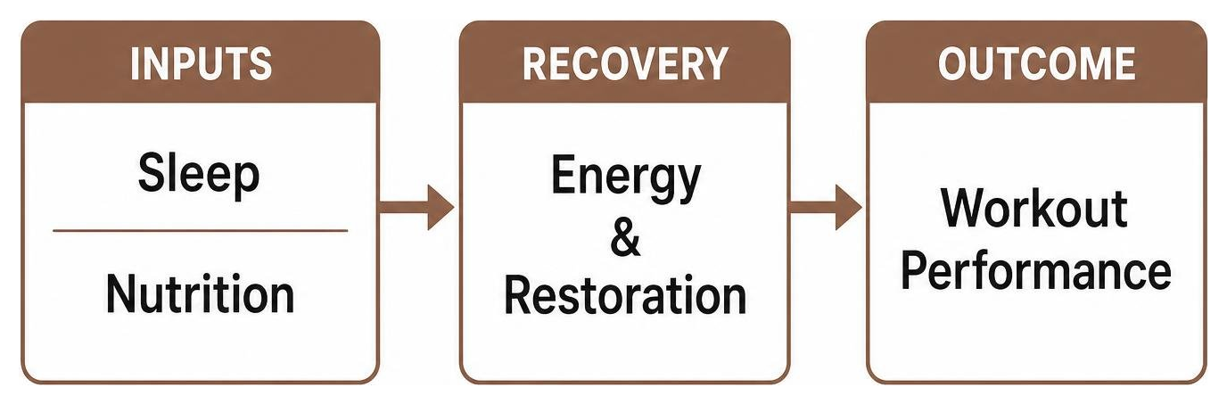 Cause and effect chain: sleep and nutrition impact recovery, which drives workout performance Cause and effect chain: sleep and nutrition impact recovery, which drives workout performance