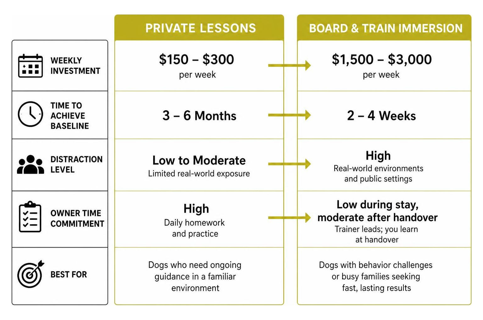 comparison of private lessons versus board and train programs
