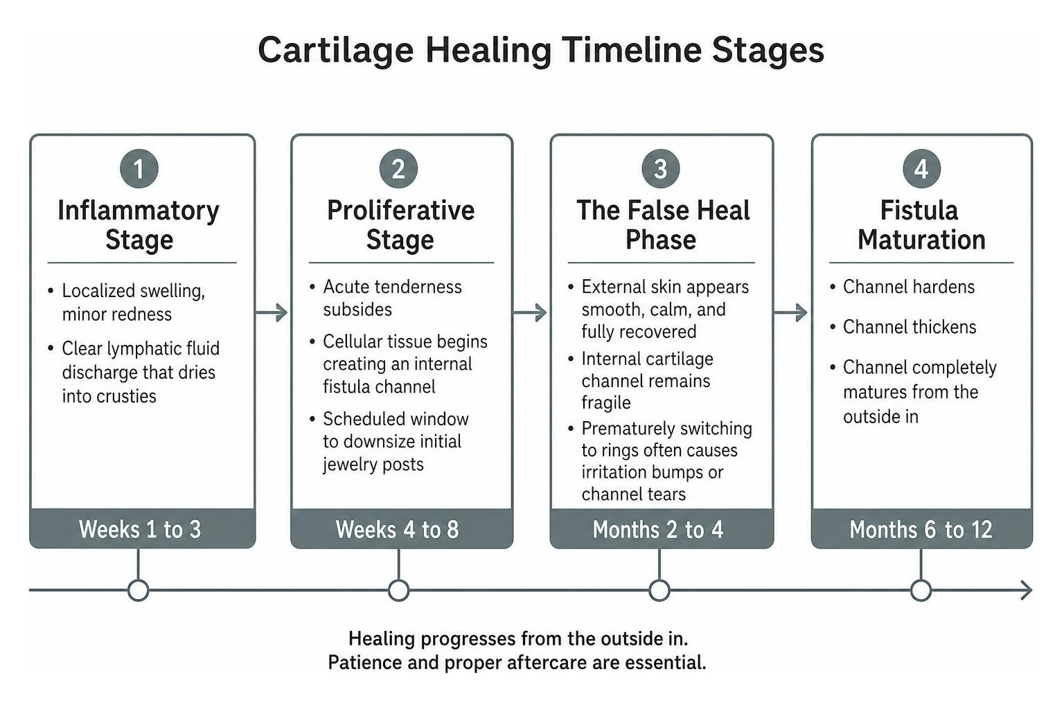 Cartilage healing timeline stages Cartilage healing timeline stages