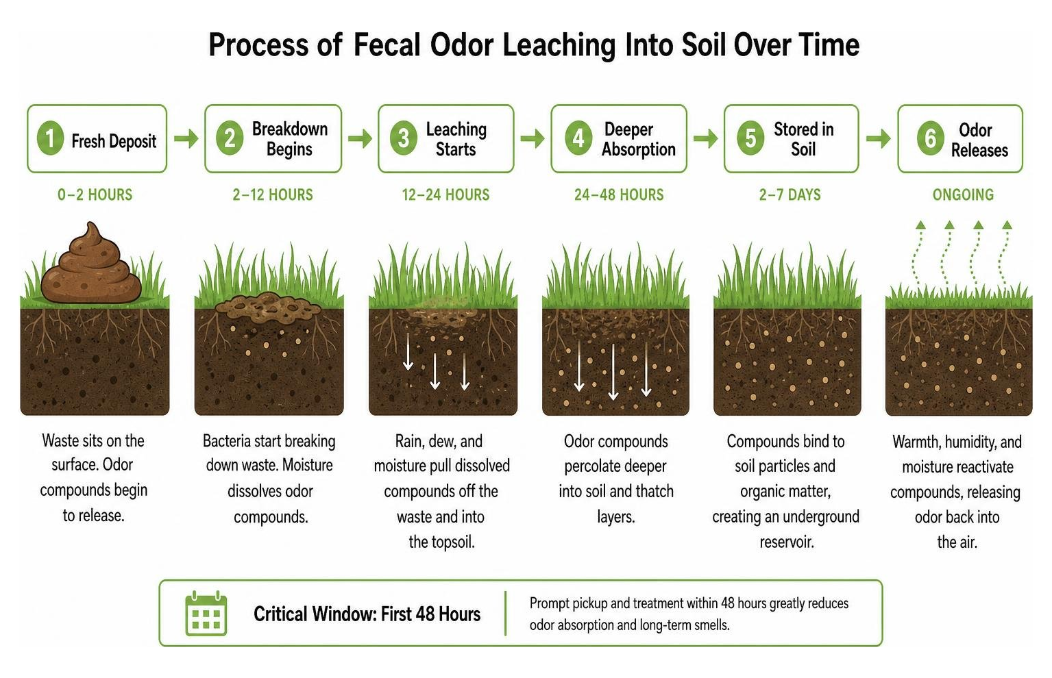 Process of fecal odor leaching into soil over time Process of fecal odor leaching into soil over time