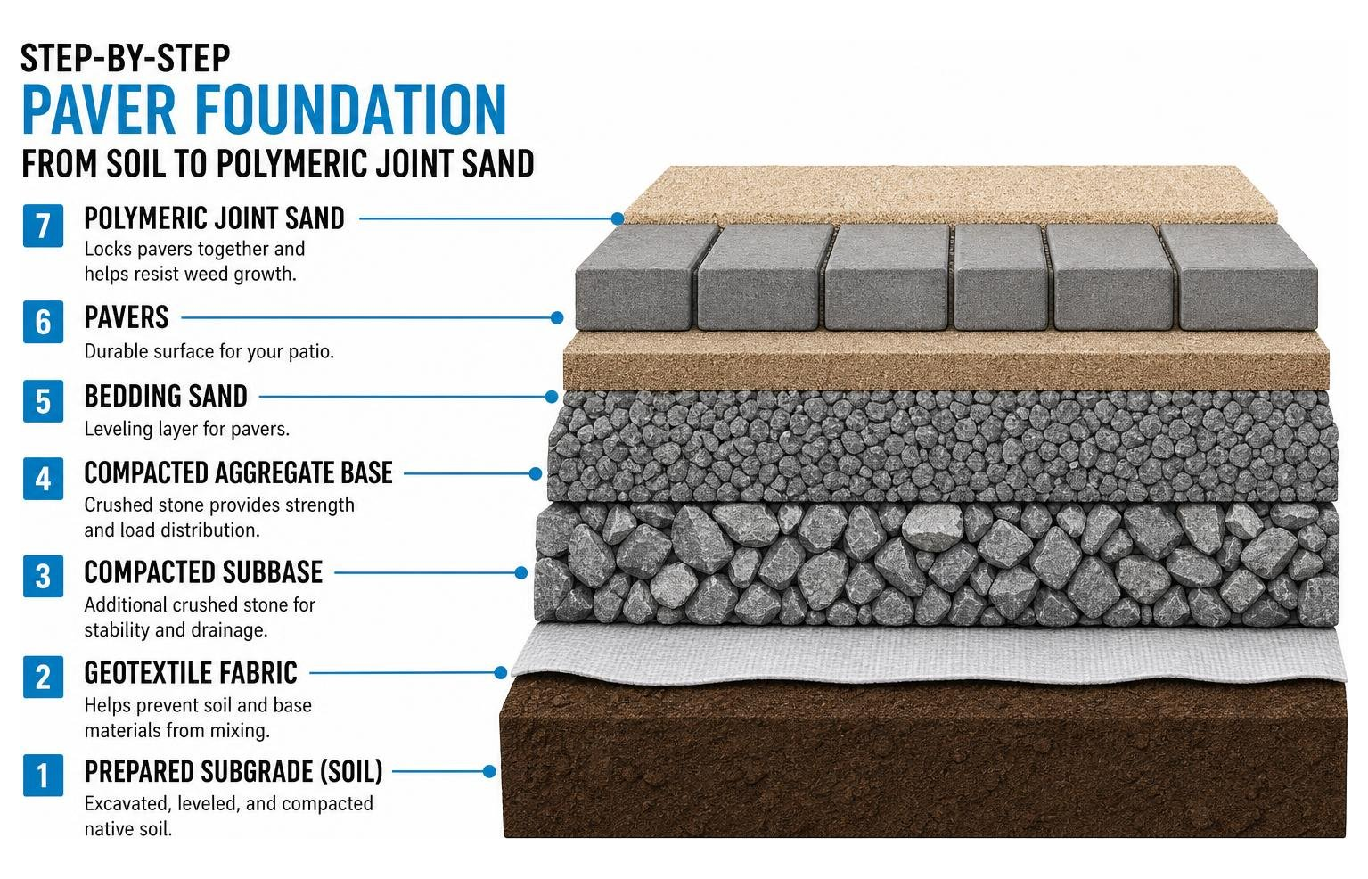 Step-by-step cross-section of a durable paver foundation from soil to polymeric joint sand Step-by-step cross-section of a durable paver foundation from soil to polymeric joint sand
