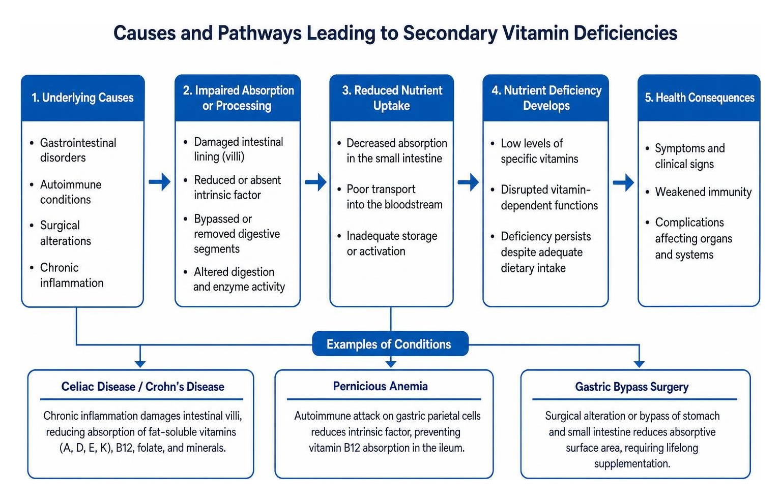 Causes and pathways leading to secondary vitamin deficiencies Causes and pathways leading to secondary vitamin deficiencies