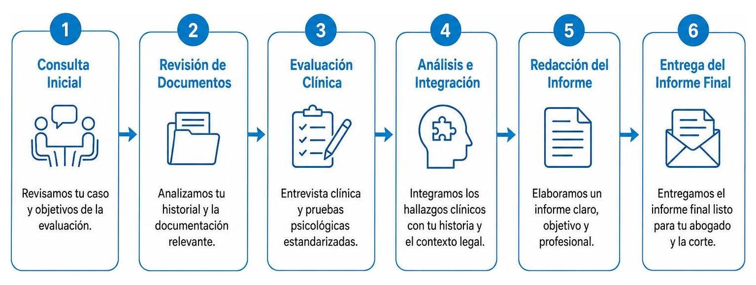 diagram of the immigration evaluation process from consultation to final report