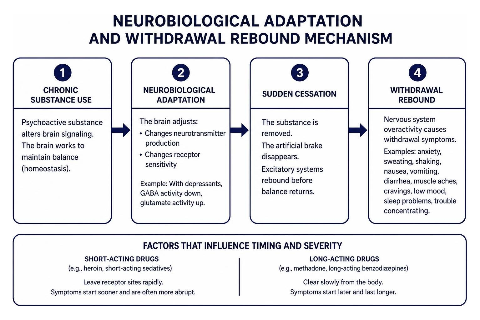 Neurobiological adaptation and withdrawal rebound mechanism Neurobiological adaptation and withdrawal rebound mechanism