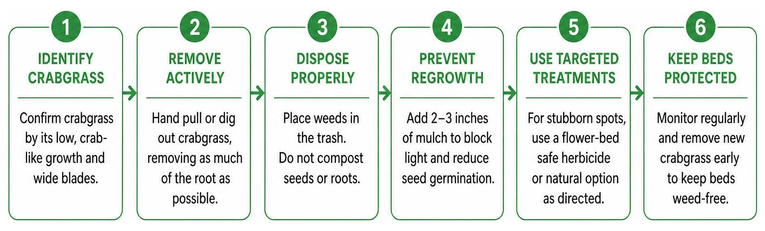 step by step guide to clear and protect flower beds from crabgrass