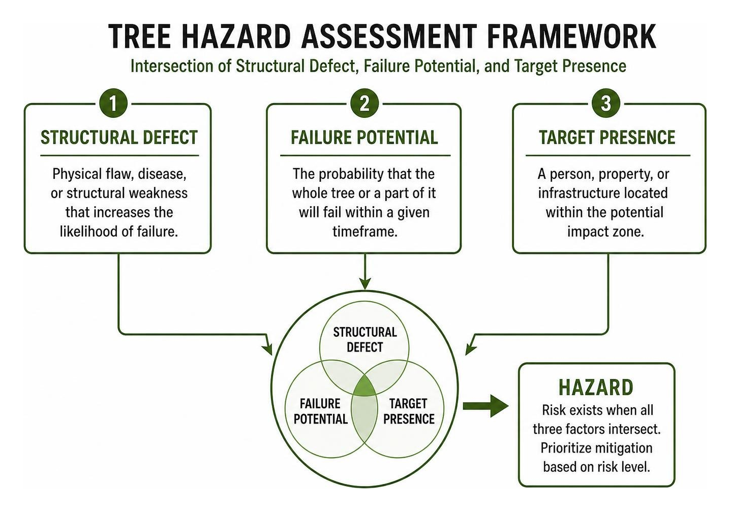 Tree Hazard Assessment Framework showing the intersection of Structural Defect, Failure Potential, and Target Presence