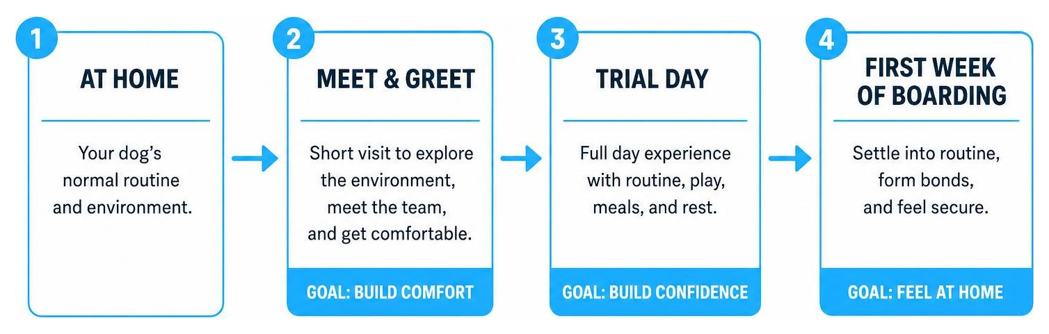 diagram showing the transition process from home to long term care, highlighting the meet and greet, trial day, and first diagram showing the transition process from home to long term care, highlighting the meet and greet, trial day, and first