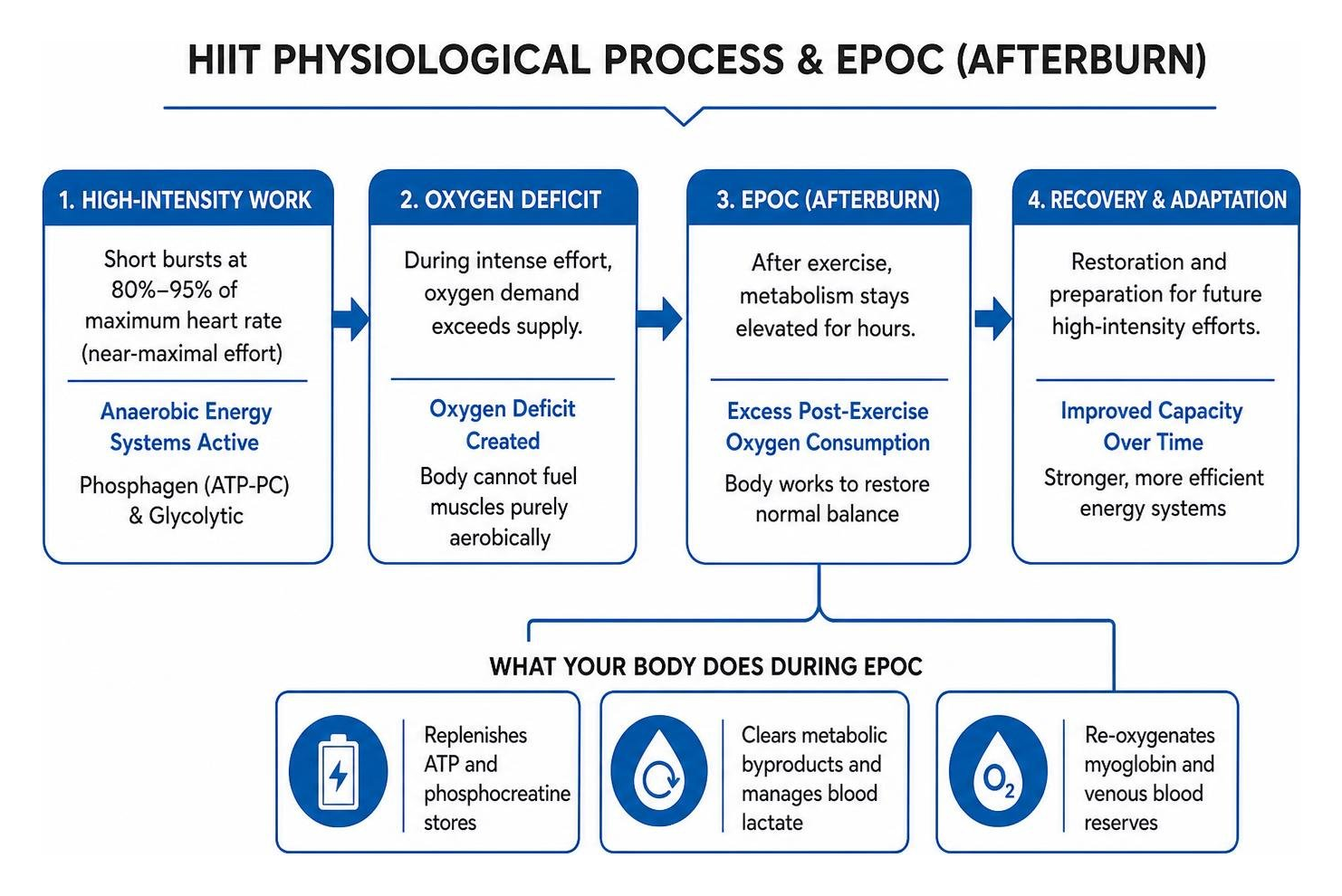 HIIT physiological EPOC and energy recovery process HIIT physiological EPOC and energy recovery process