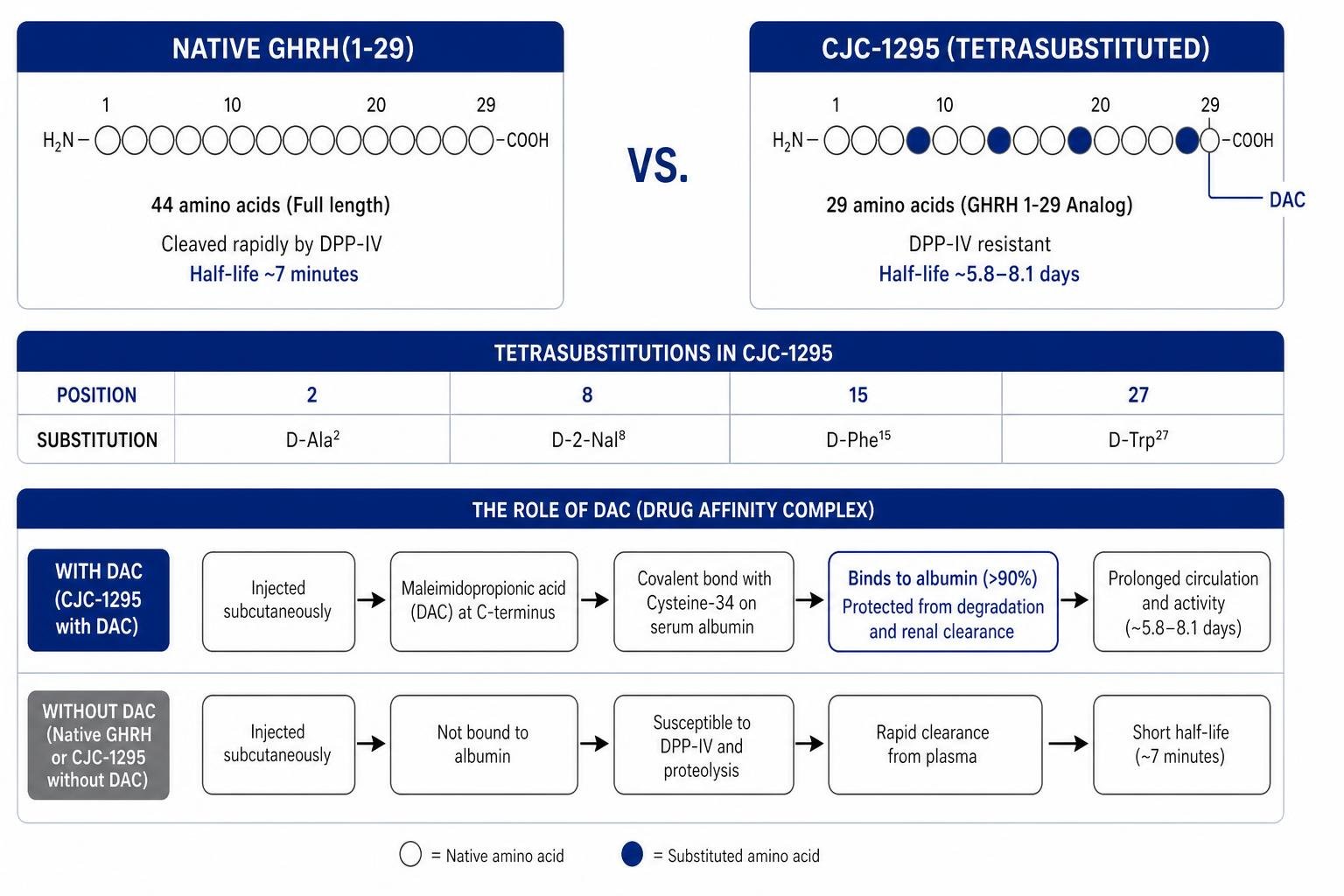 Comparing native GHRH structure to modified CJC-1295 tetrasubstituted peptide