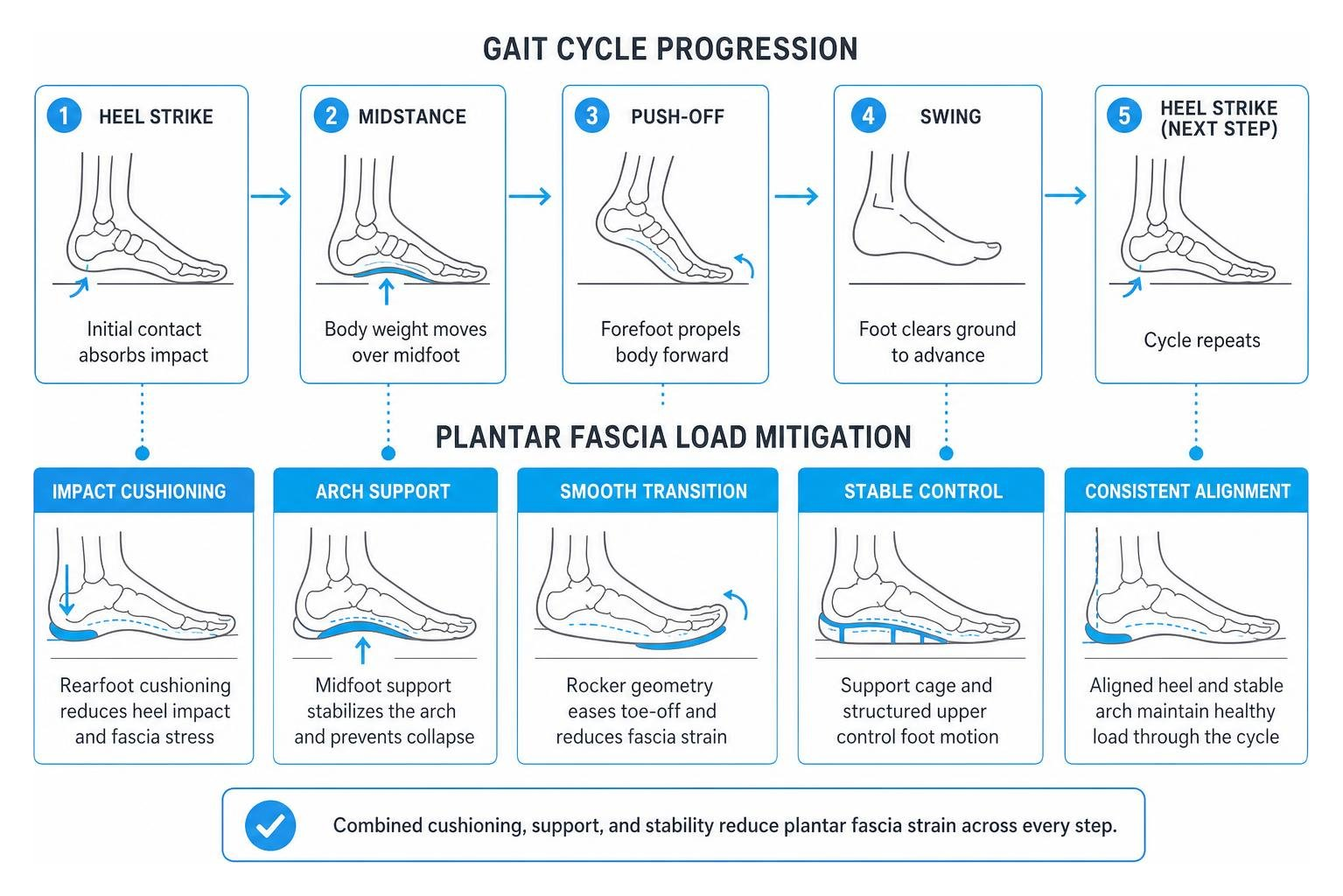 gait cycle progression and plantar fascia load mitigation gait cycle progression and plantar fascia load mitigation