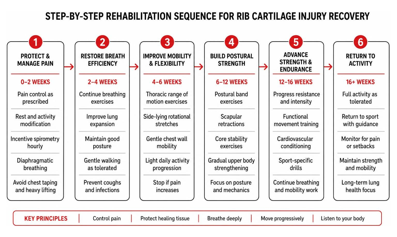 Step-by-step rehabilitation sequence for rib cartilage injury recovery