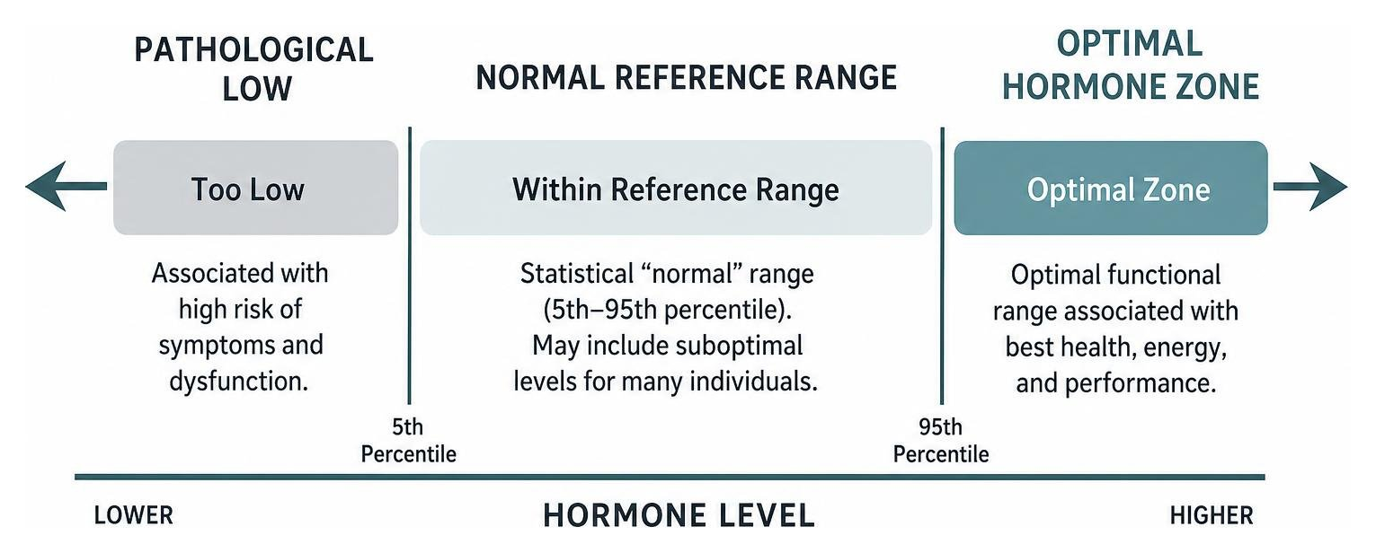 Diagram showing the spectrum from pathological low to normal reference range to optimal hormone zone Diagram showing the spectrum from pathological low to normal reference range to optimal hormone zone