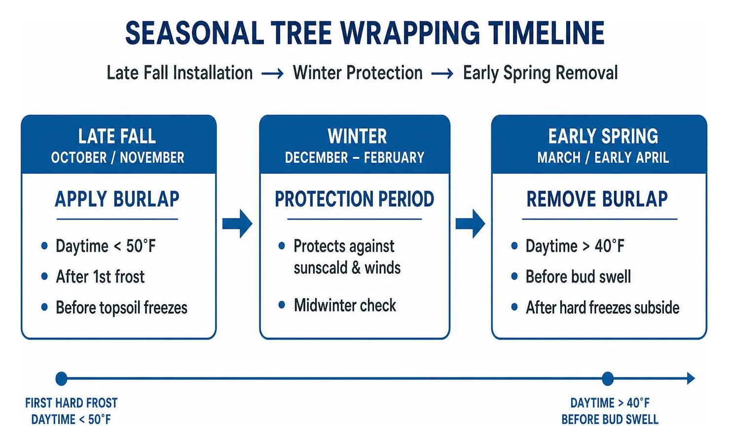 timeline of seasonal tree wrapping showing late fall installation and early spring removal timeline of seasonal tree wrapping showing late fall installation and early spring removal