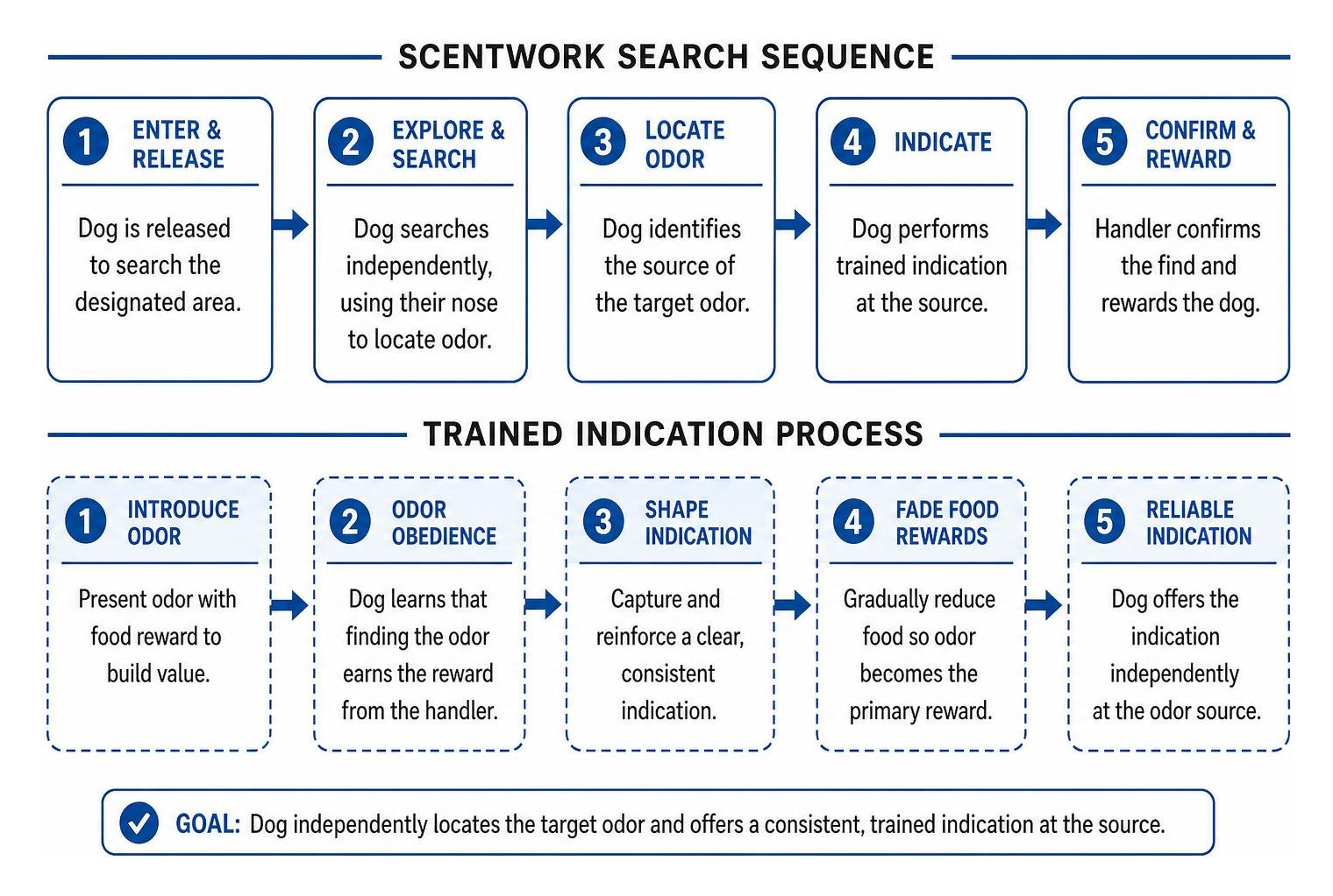 Scentwork search sequence and trained indication process Scentwork search sequence and trained indication process