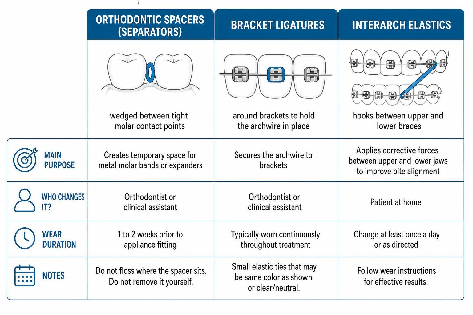 Comparison diagram of orthodontic spacers, bracket ligatures, and interarch elastics