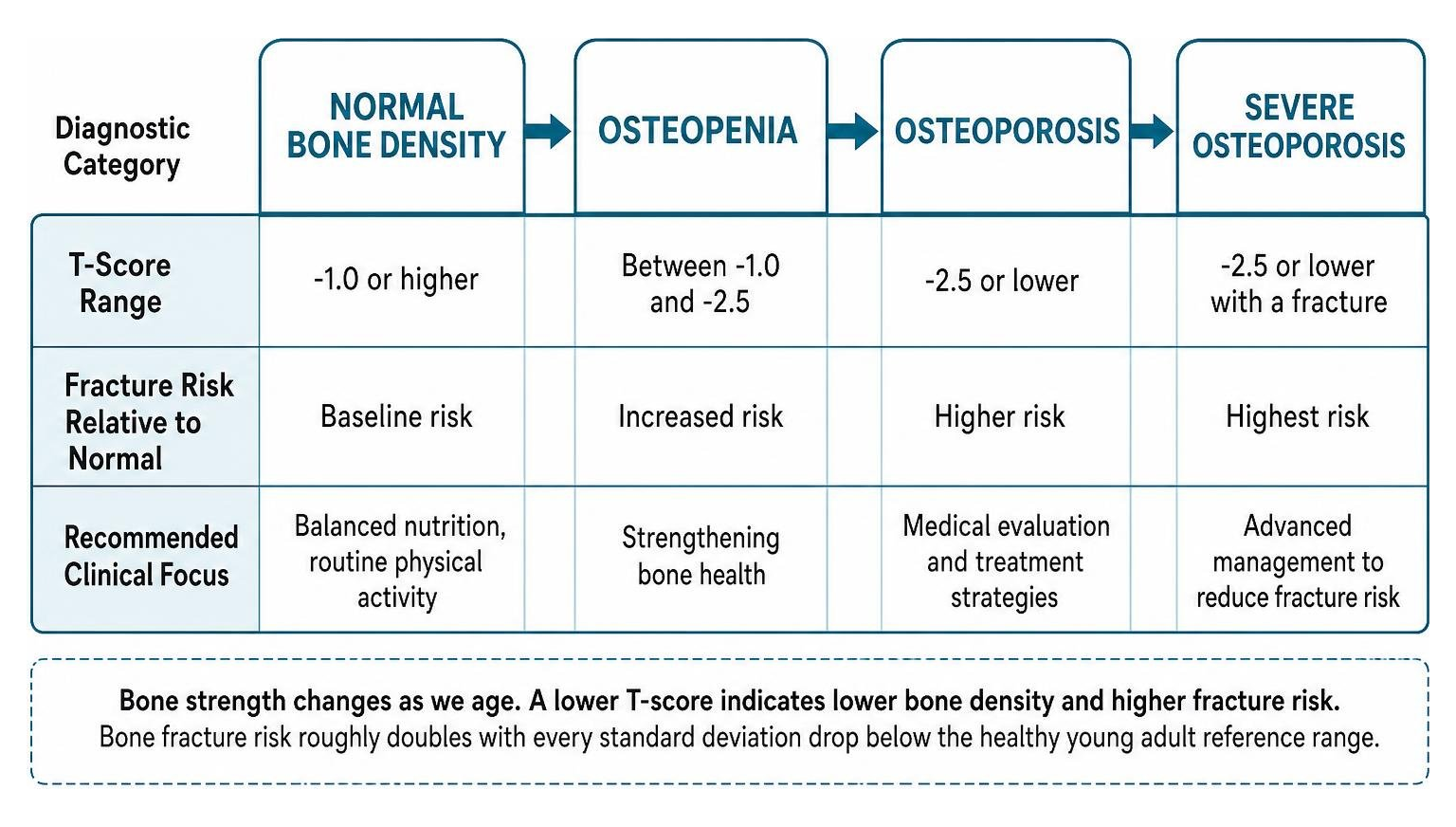 bone density stages comparison