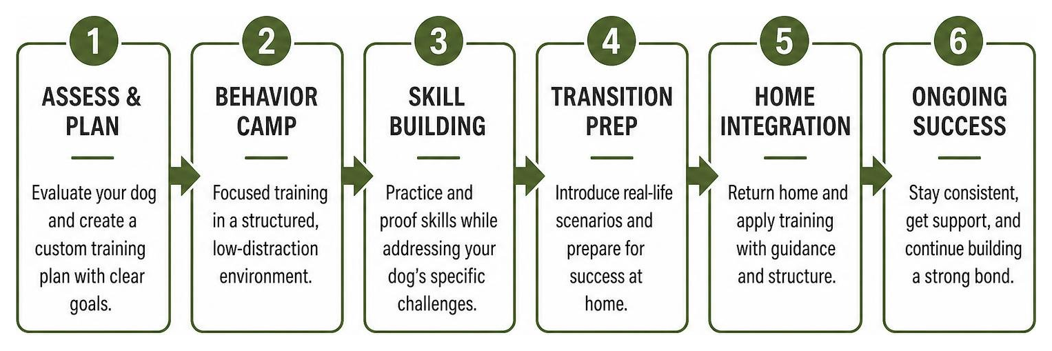 diagram showing the step by step transition process from behavior camp to home life diagram showing the step by step transition process from behavior camp to home life