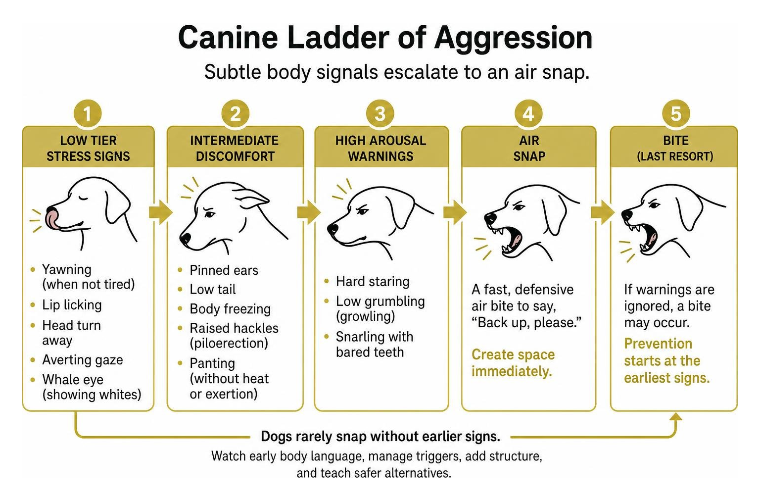 canine ladder of aggression showing subtle body signals escalating to an air snap