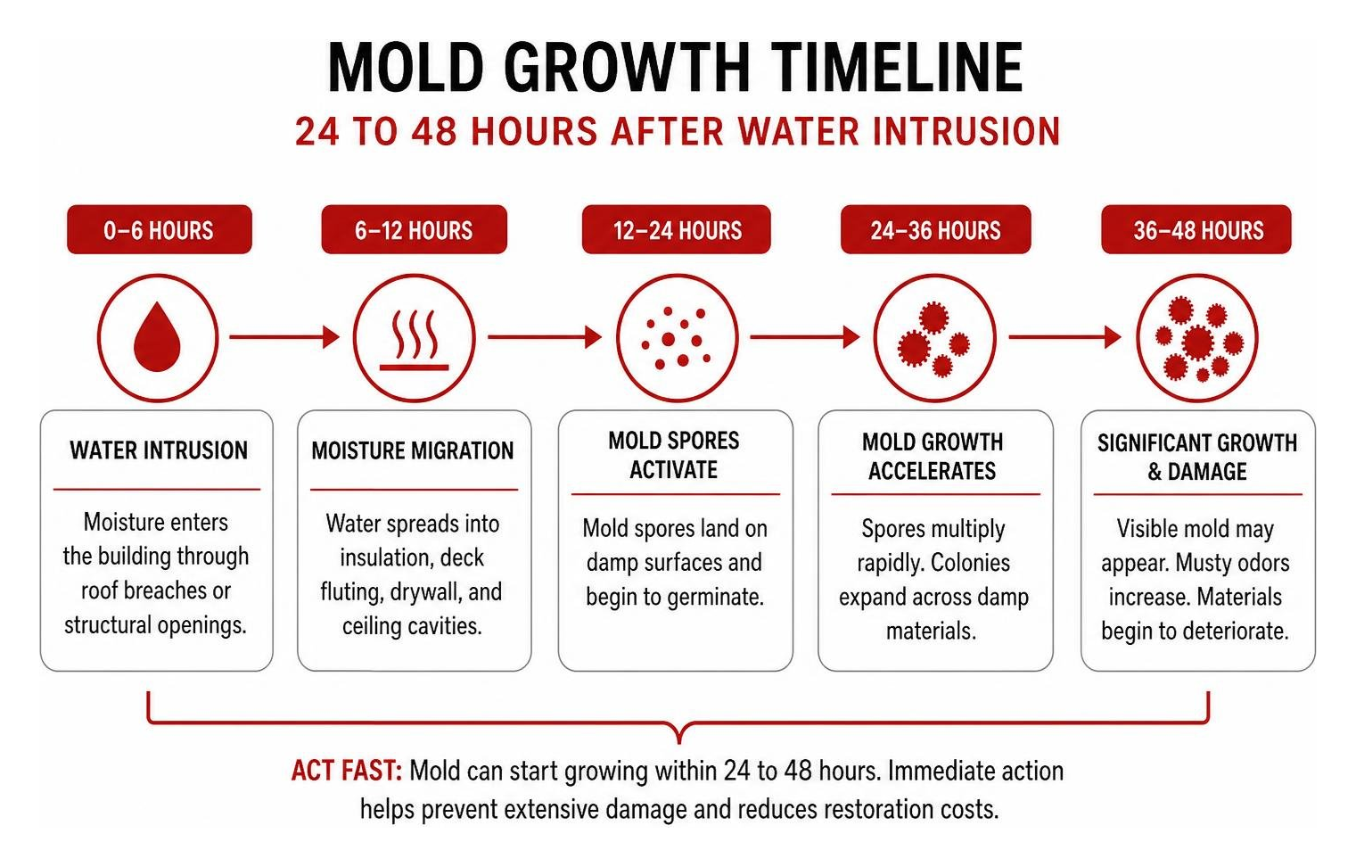 Diagram showing the 24 to 48 hour mold growth timeline after water intrusion Diagram showing the 24 to 48 hour mold growth timeline after water intrusion