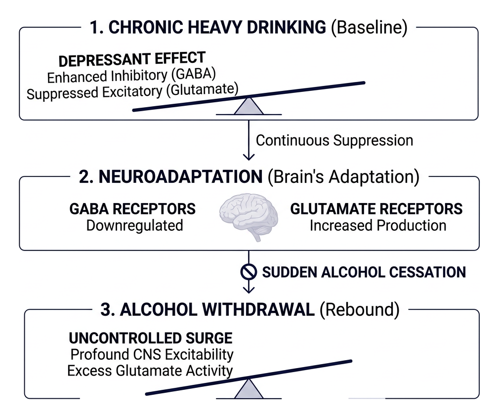 Neuroadaptation balance shift during alcohol withdrawal Neuroadaptation balance shift during alcohol withdrawal