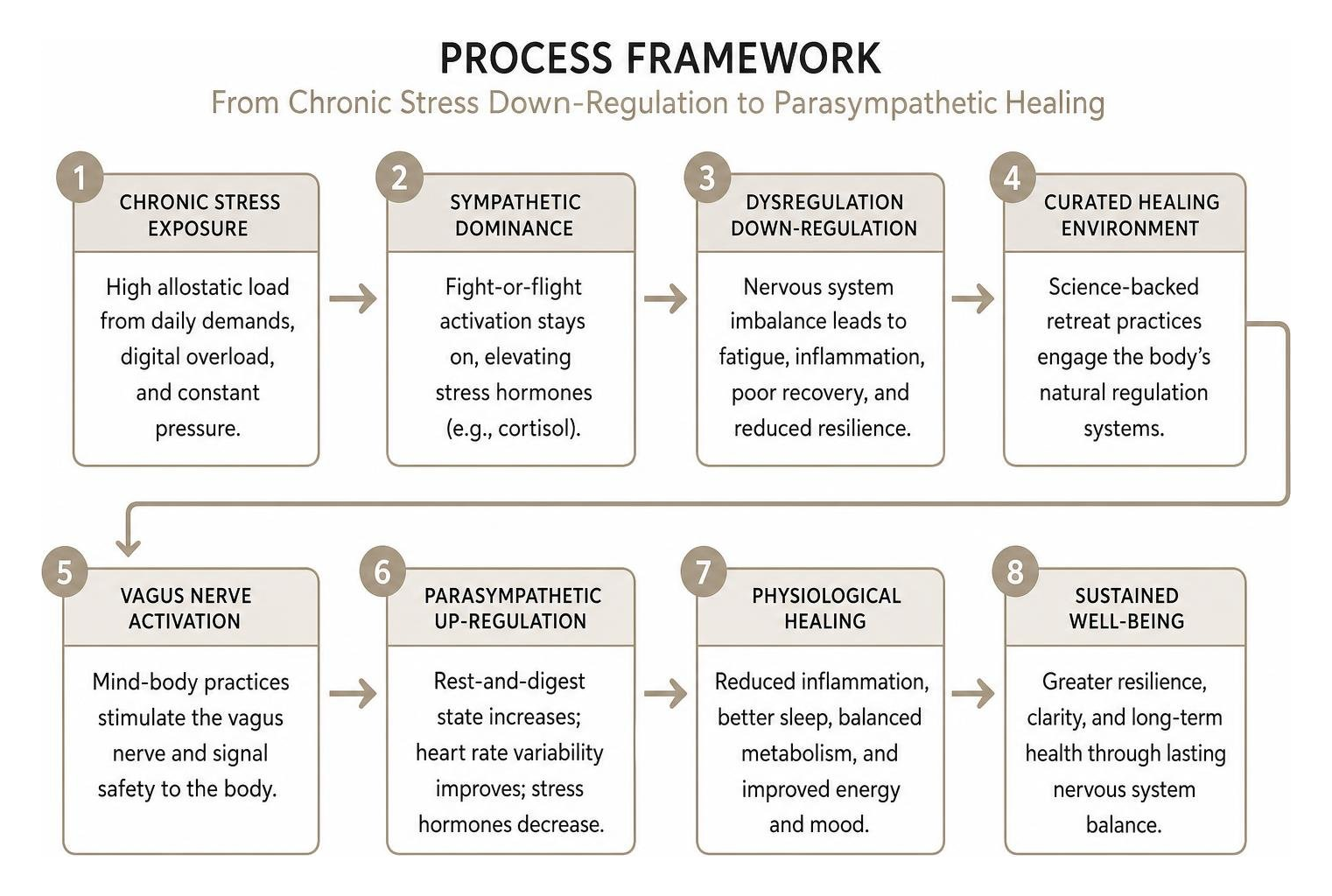 Process framework diagram showing the biological pathway from chronic stress down-regulation to parasympathetic healing Process framework diagram showing the biological pathway from chronic stress down-regulation to parasympathetic healing