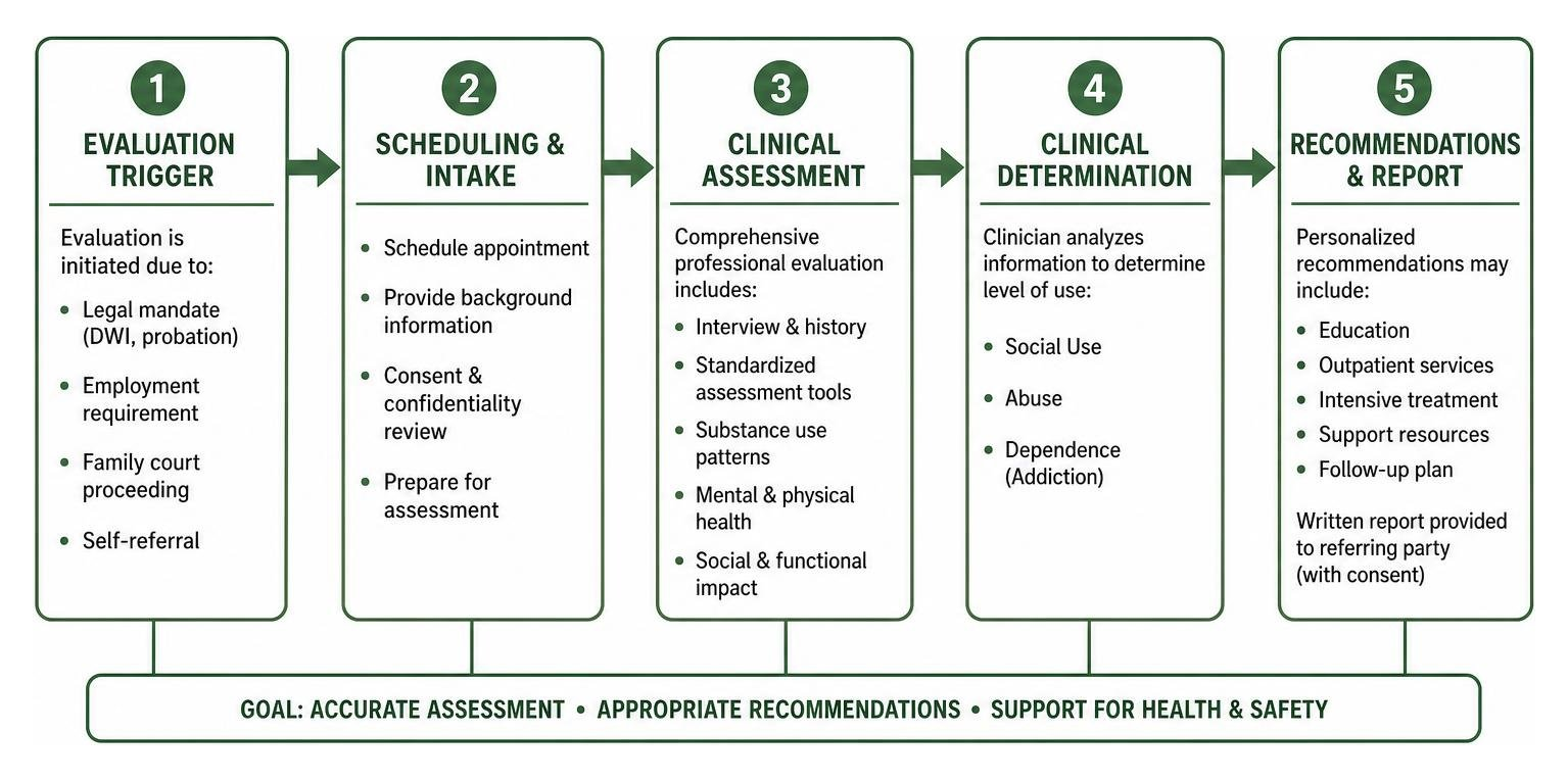 Flowchart showing the pathway from an evaluation trigger to the clinical assessment and final recommendations Flowchart showing the pathway from an evaluation trigger to the clinical assessment and final recommendations