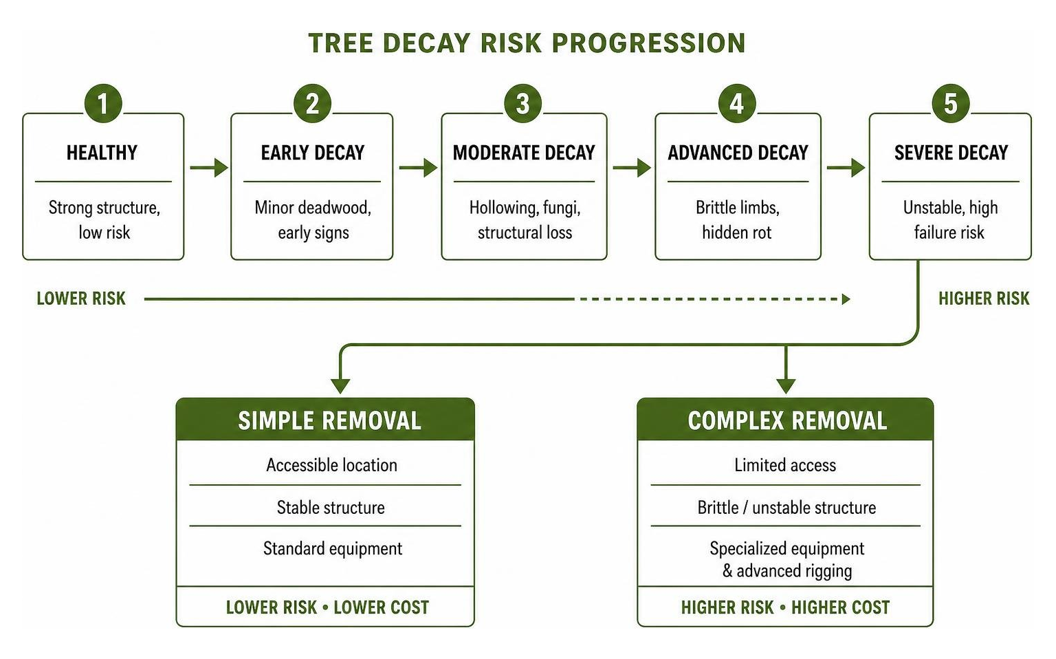 Tree decay risk progression leading to complex removal vs simple removal