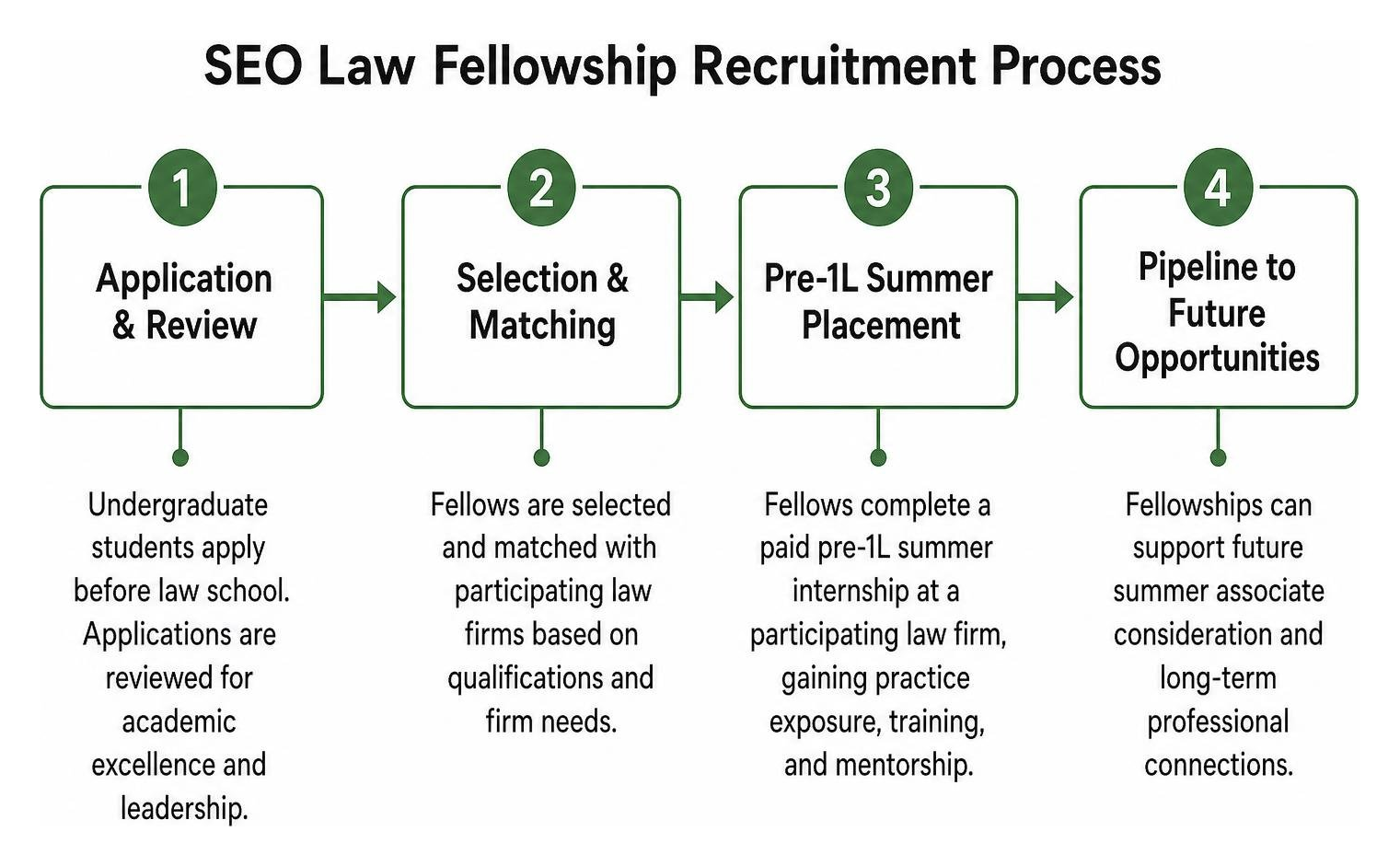 SEO Law Fellowship recruitment process diagram