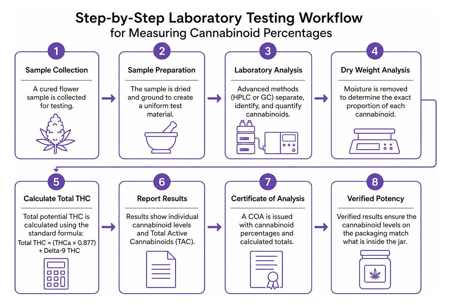 step-by-step laboratory testing workflow for measuring cannabinoid percentages