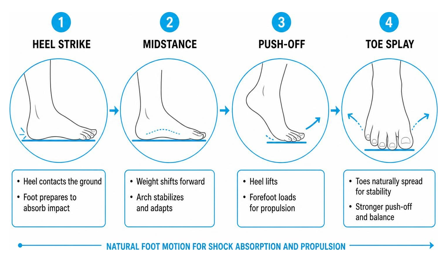 Foot motion process from heel strike to natural toe splay during push-off Foot motion process from heel strike to natural toe splay during push-off