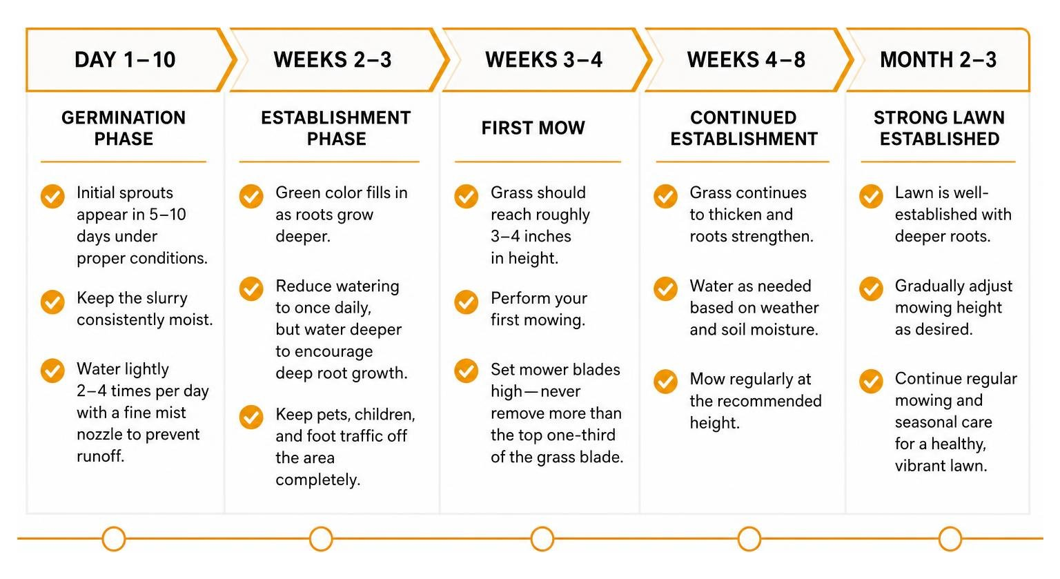 Post-application hydroseeding timeline from day 1 to month 3 Post-application hydroseeding timeline from day 1 to month 3