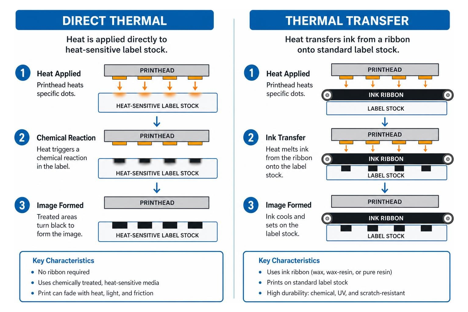 Thermal transfer vs direct thermal print mechanism diagram