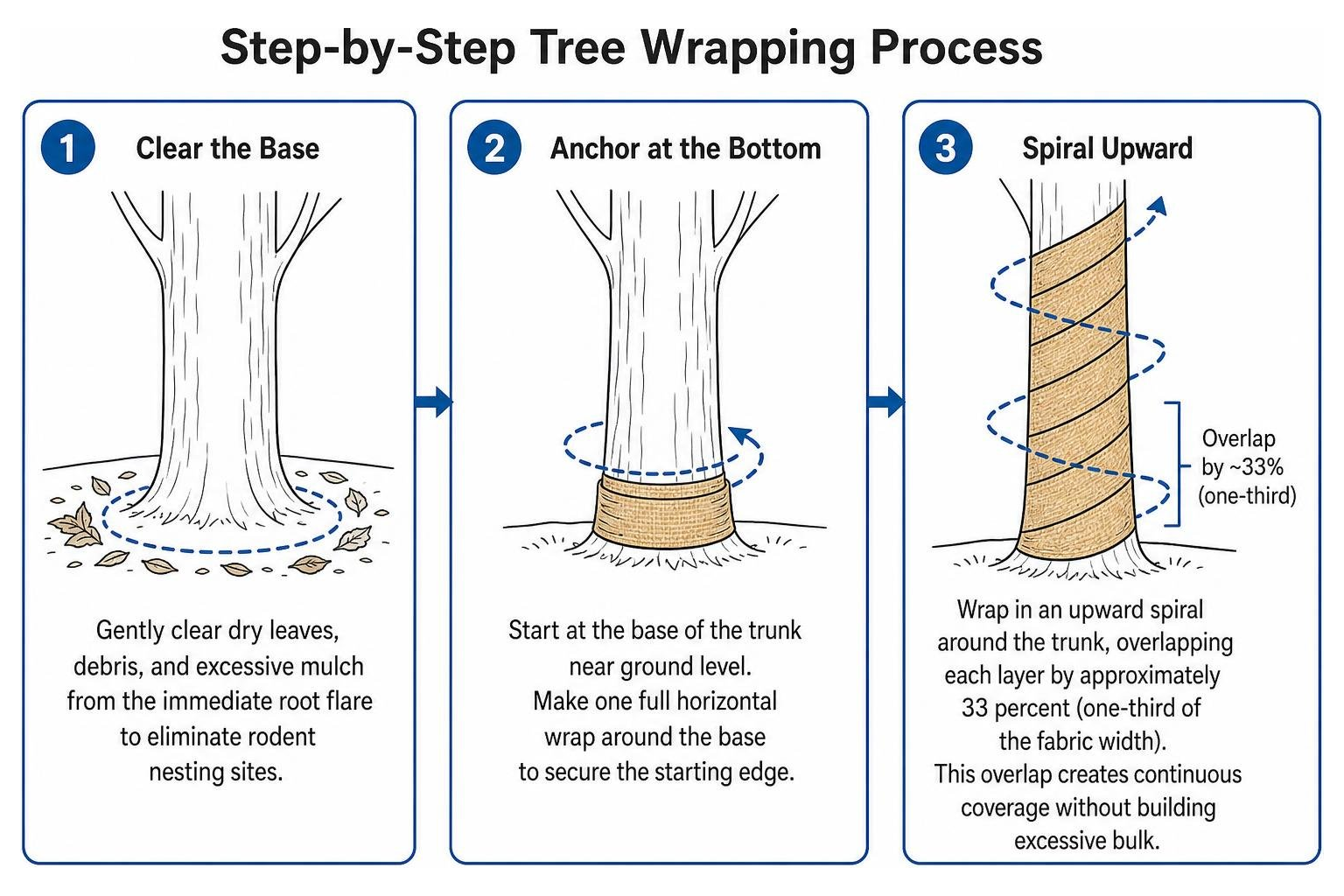 step by step tree wrapping process step by step tree wrapping process