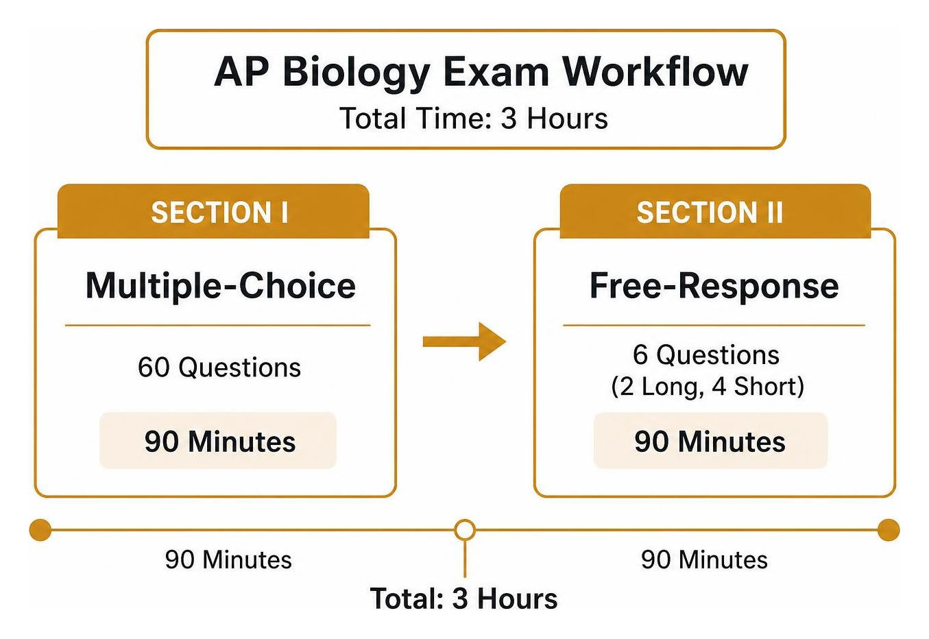 AP Biology Exam Workflow: 90 minutes Section I multiple choice, 90 minutes Section II free response