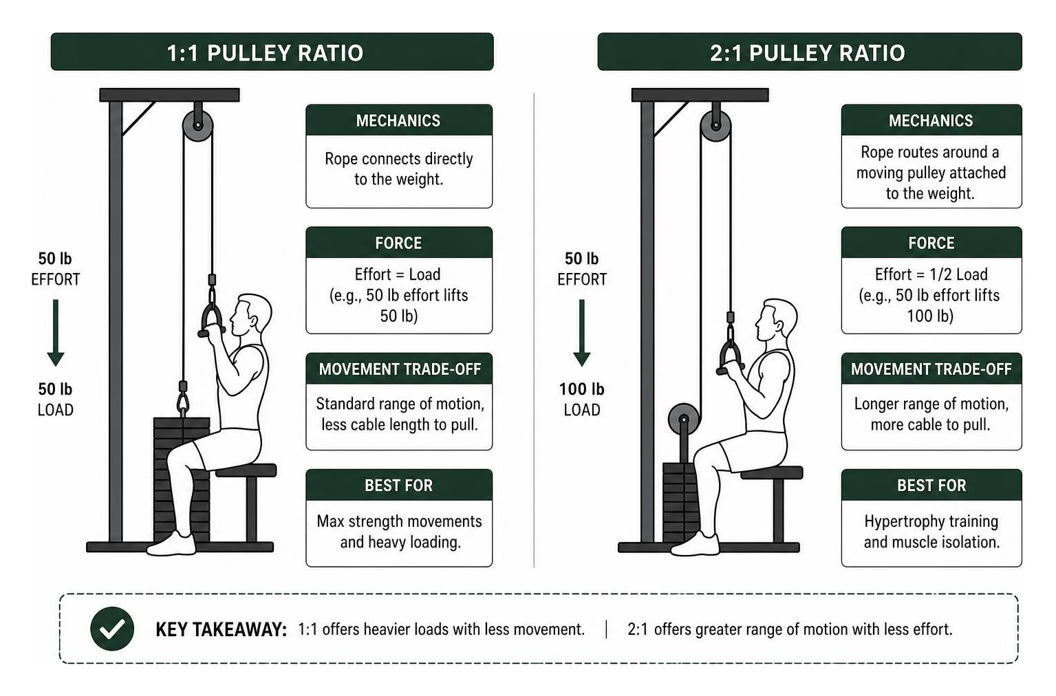 Comparison of 1:1 and 2:1 pulley ratio mechanics Comparison of 1:1 and 2:1 pulley ratio mechanics