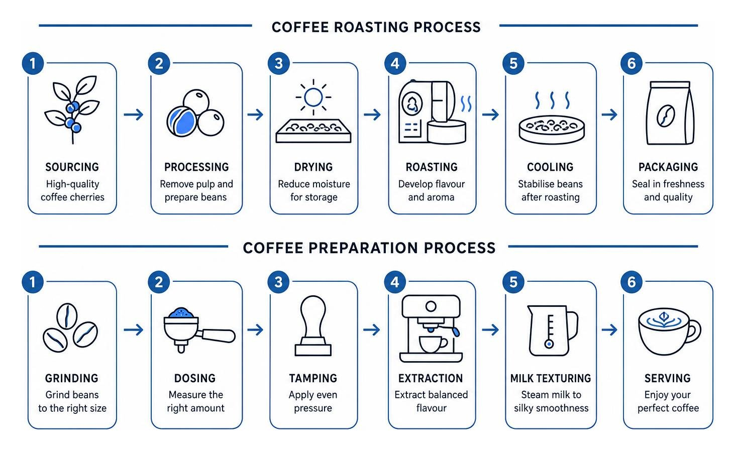 Specialty coffee preparation and roasting process diagram