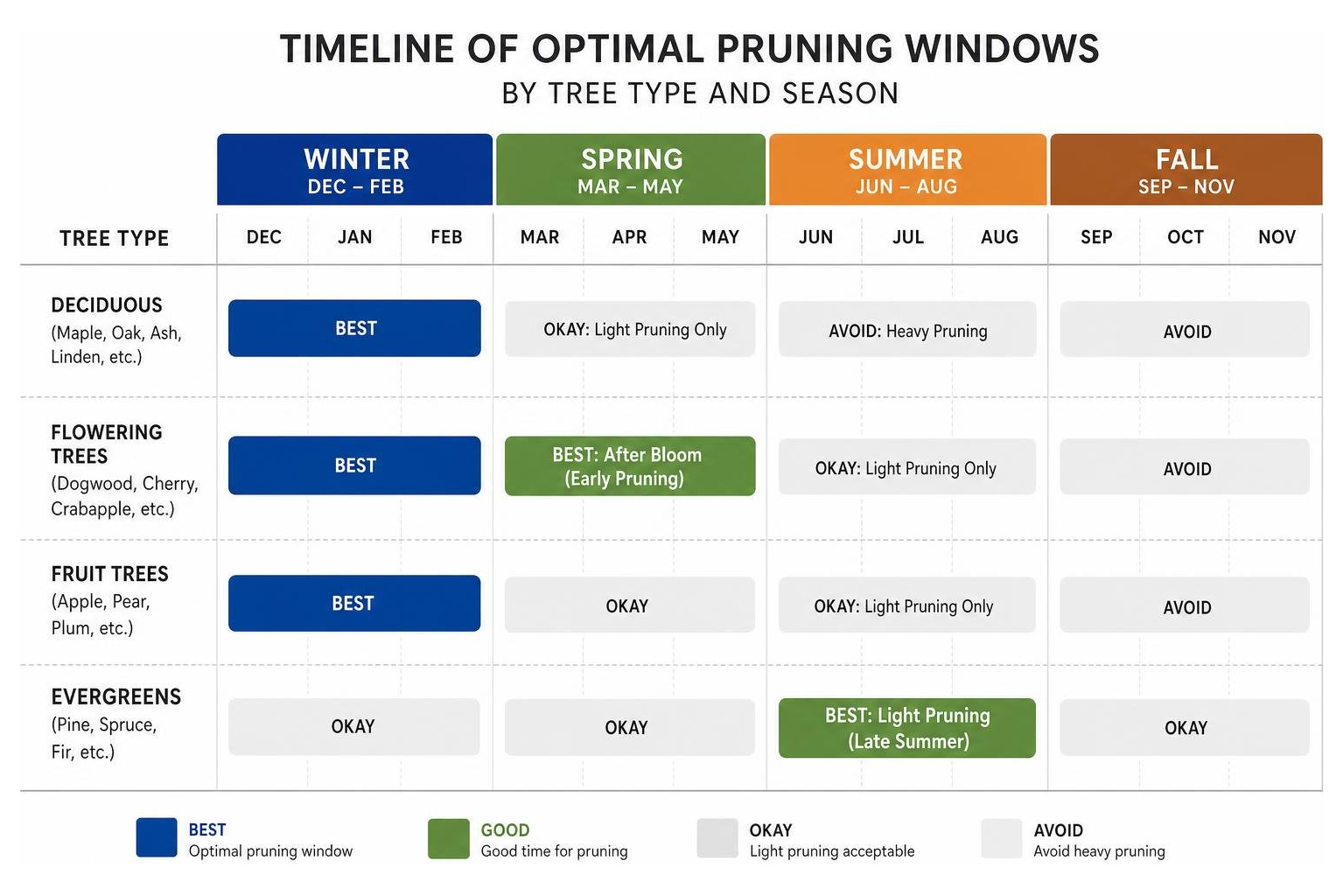 Timeline of optimal pruning windows by tree type and season Timeline of optimal pruning windows by tree type and season