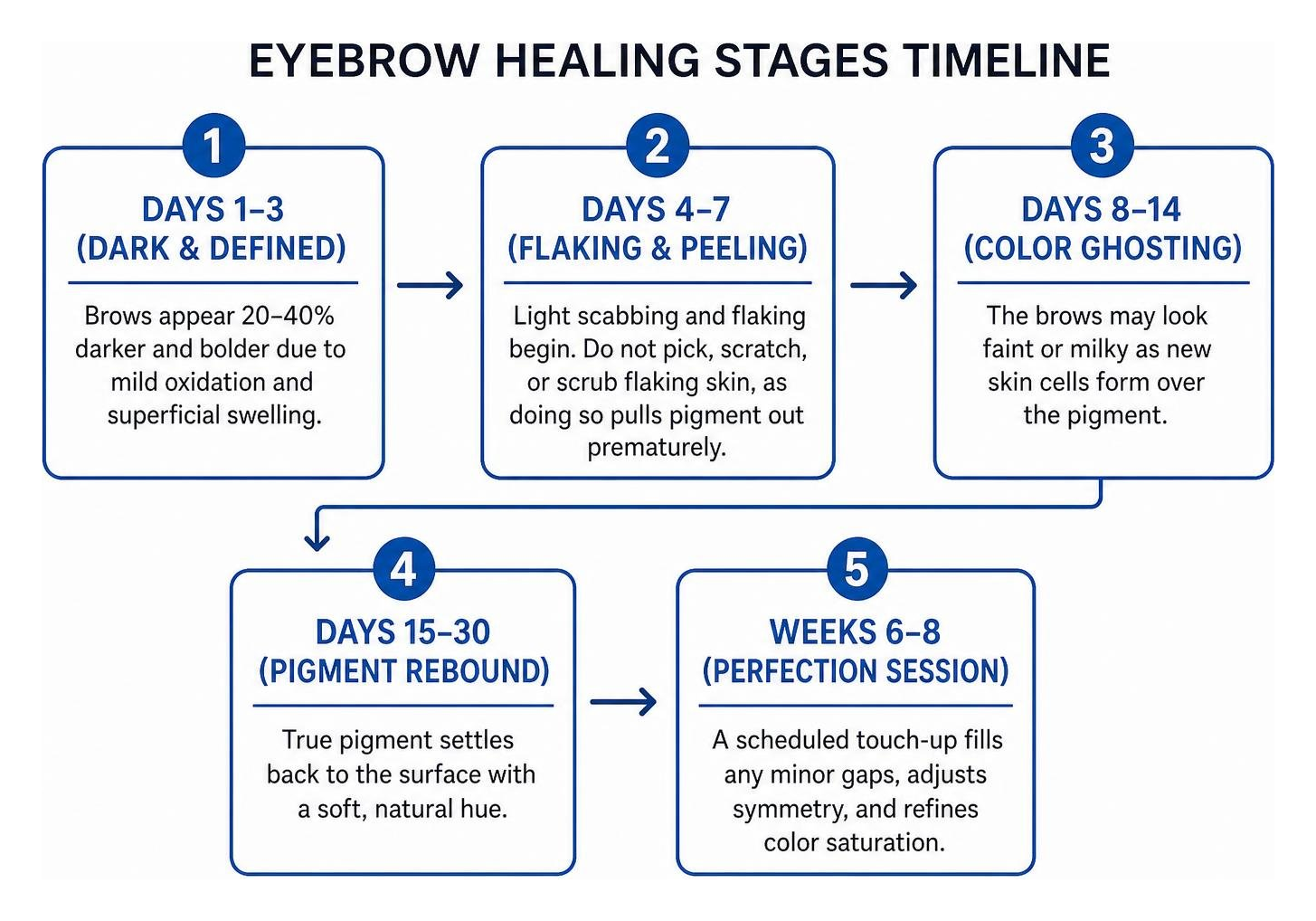 Eyebrow healing stages timeline Eyebrow healing stages timeline