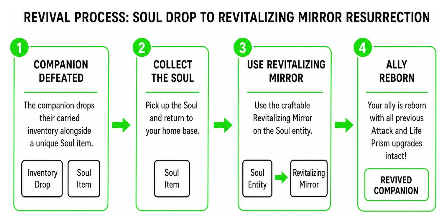 Revival process from soul drop to Revitalizing Mirror resurrection
