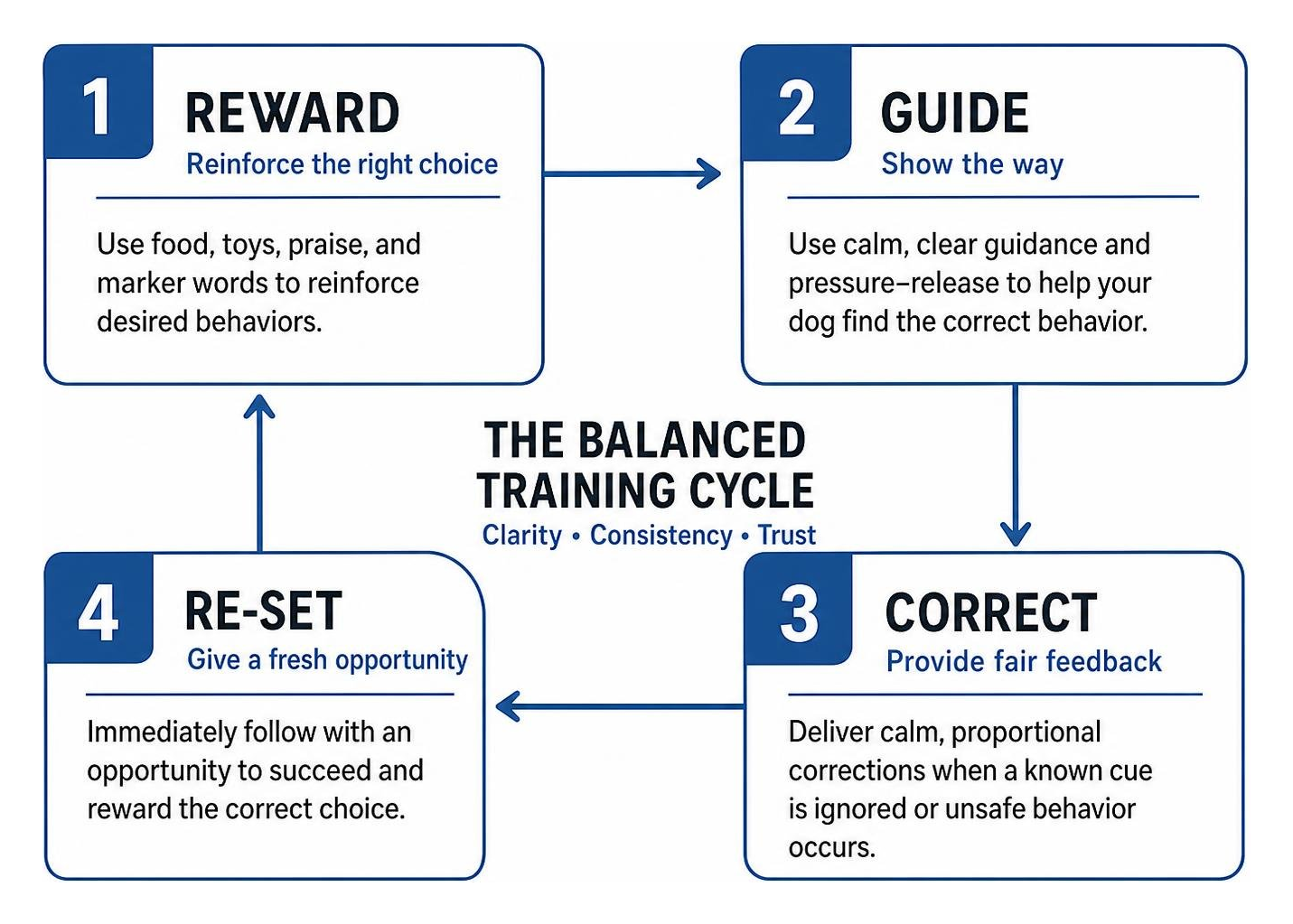 Step-by-step cycle of balanced dog training mechanics Step-by-step cycle of balanced dog training mechanics