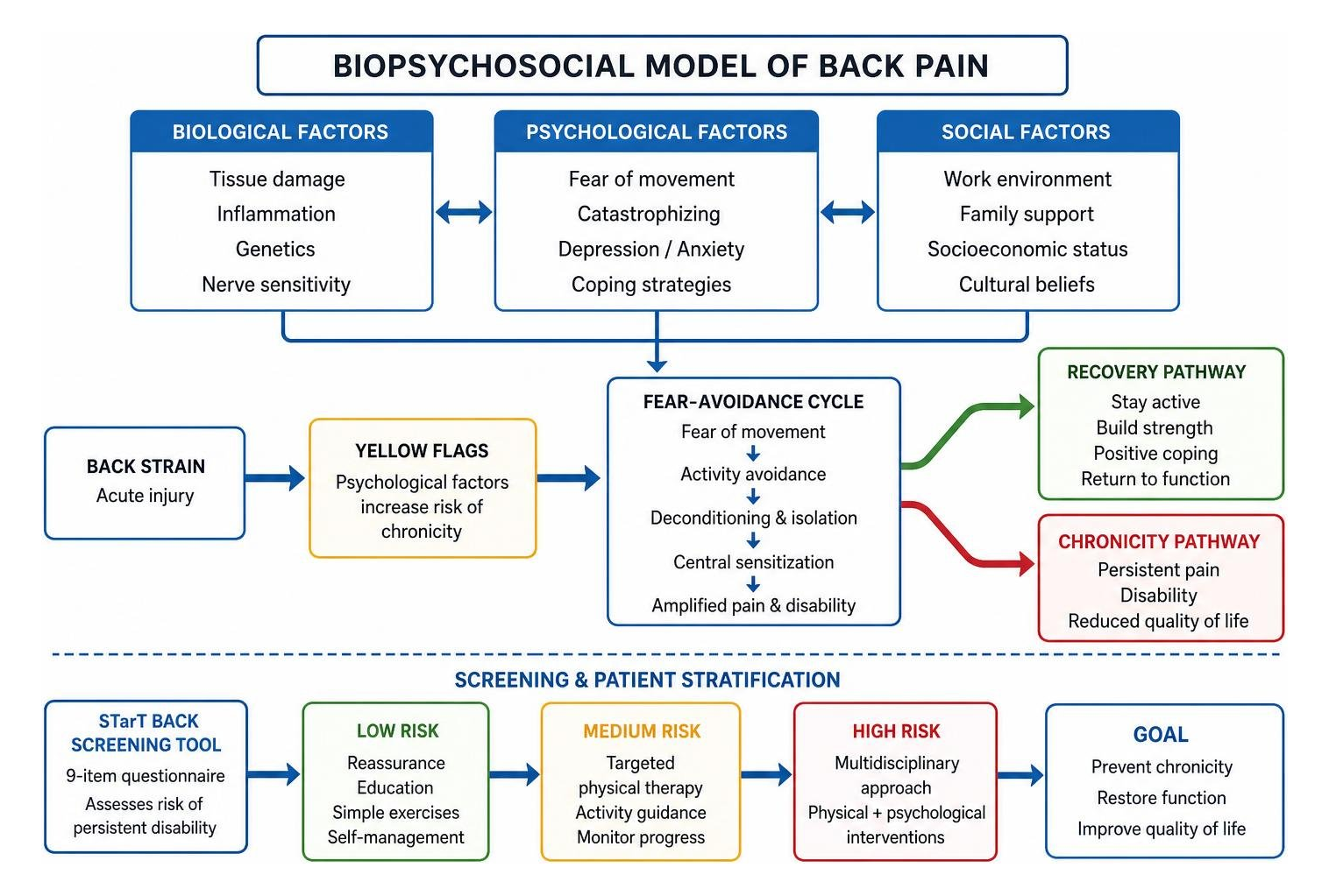 Biopsychosocial model of back pain chronicity vs recovery