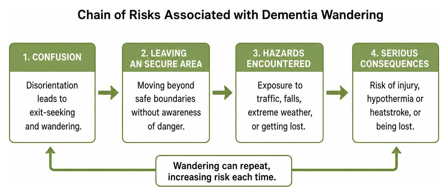 Chain of risks associated with dementia wandering Chain of risks associated with dementia wandering