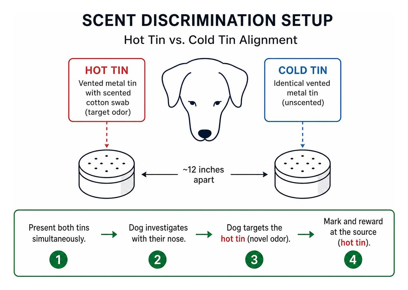 scent discrimination setup showing hot tin versus cold tin alignment scent discrimination setup showing hot tin versus cold tin alignment