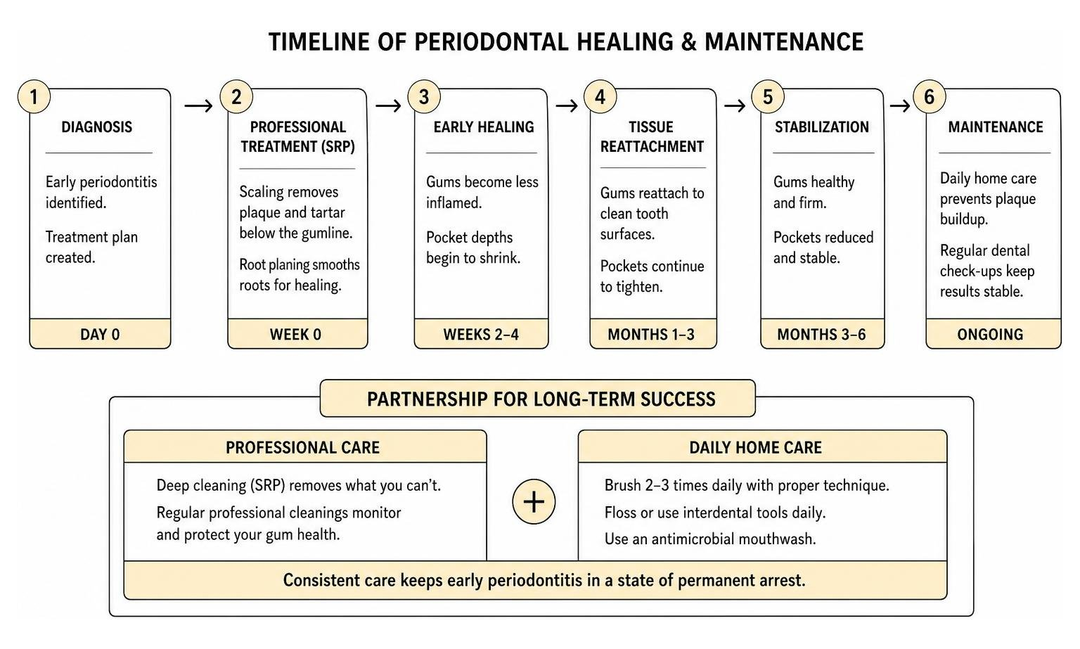 timeline of periodontal healing and maintenance process