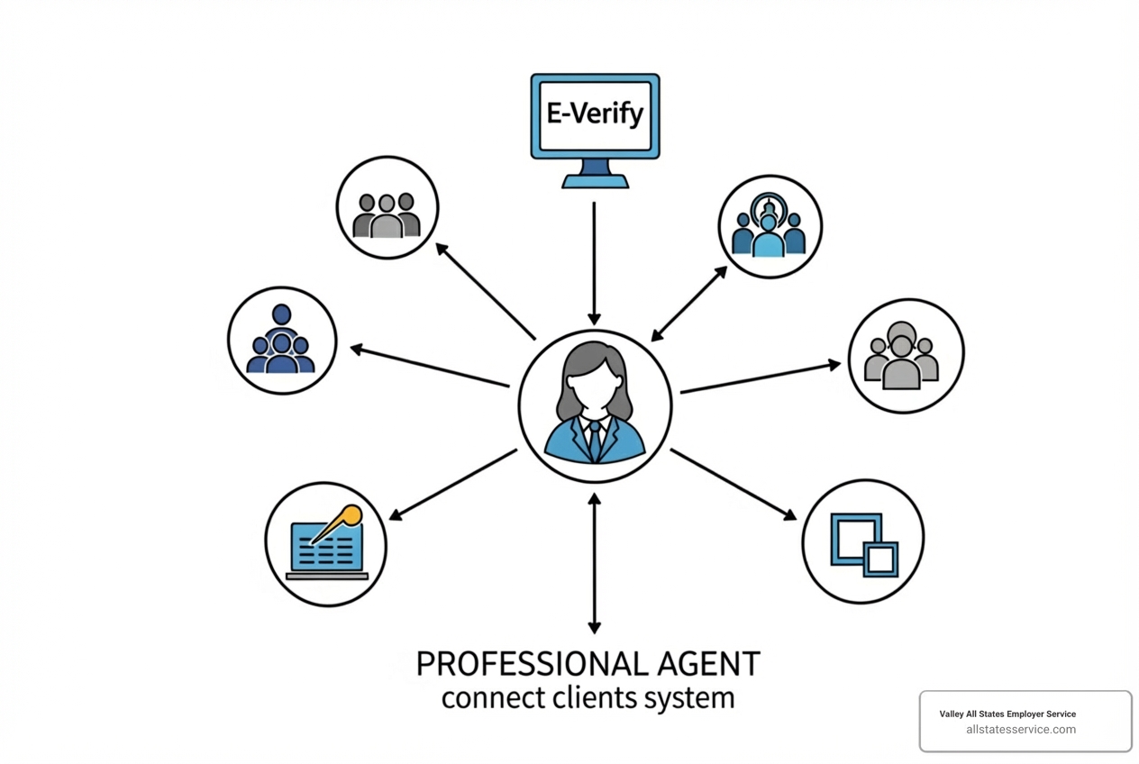 of a diagram showing an agent connecting multiple client companies to the E-Verify system - how to become an e verify employer agent