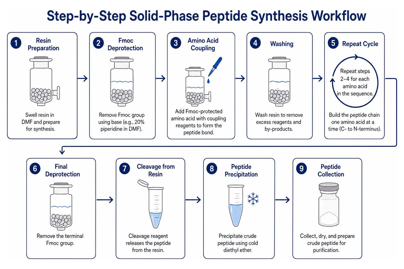 Step-by-step solid phase peptide synthesis workflow
