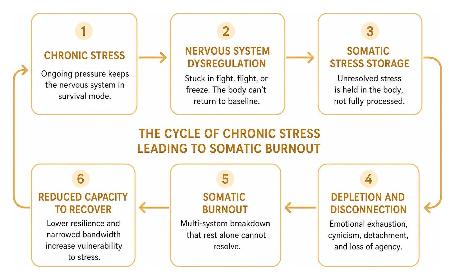 diagram showing the cycle of chronic stress leading to somatic burnout